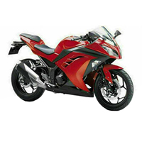 Carenados Kawasaki Ninja 300 2013-2024