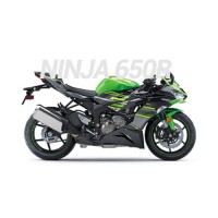 Ninja 650R Carenado