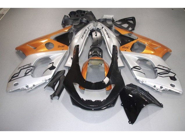 98-07 Naranja Brillante Plata & Negro Yamaha YZF600 Carenados Moto