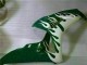 Carenado Moto Honda CBR1000RR 2006-2007 - Blanco Verde Llama