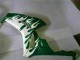 Carenado Moto Honda CBR1000RR 2006-2007 - Blanco Verde Llama
