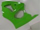 Carenado Moto Kawasaki ZX6R 2000-2002 - Verde Negro