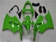 Carenado Moto Kawasaki ZX6R 2000-2002 - Verde Negro