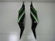 Carenados Moto Kawasaki ZX6R 2013-2018 - Verde Negro Brillante