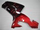 Carenados Moto Kawasaki ZX10R 2006-2007 - Negro Brillante Rojo Llama