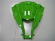 Carenados Moto Kawasaki ZX10R 2011-2015 - Verde Negro Brillante