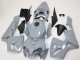 Carenados Moto Honda CBR600RR 2005-2006 - Nardo Gris