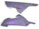 Carenado Moto Kawasaki EX300 2013-2024 - Camaleón Gris Dazz Púrpura Perla