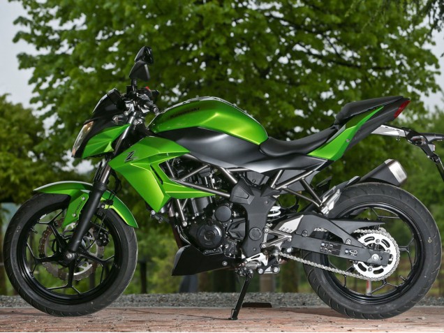 Carenado Moto Kawasaki Z250/Z300 2015-2016 - Verde Negro Mate