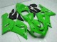 Carenados Moto Kawasaki ZX6R 2005-2006 - Verde