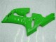 Carenados Moto Kawasaki ZX6R 2005-2006 - Verde