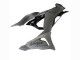 Carenado Moto Kawasaki ZX6R 2023-2025 - Gris Ninja