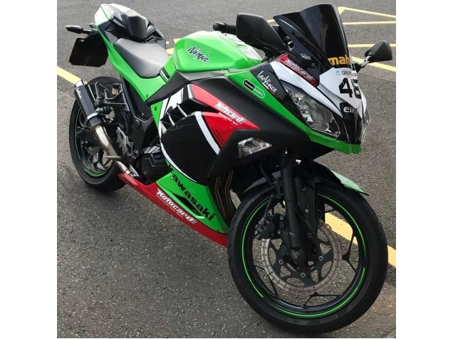 Carenado Moto Kawasaki EX300 2013-2024 - Verde Blanco Rojo Negro Elf