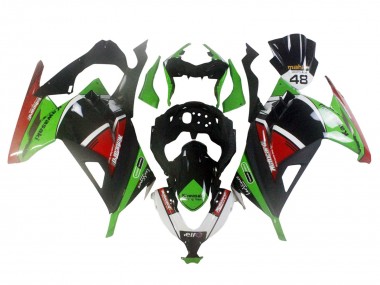 Carenado Moto Kawasaki EX300 2013-2024 - Verde Blanco Rojo Negro Elf