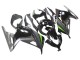 Carenado Moto Kawasaki EX300 2013-2024 - Negro Brillante Negro Mate Verde
