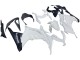 Carenado Moto Kawasaki EX300 2013-2024 - Blanco Negro
