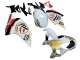 Carenado Moto Aprilia RS125 2000-2005 - Blanco Amarillo Rojo