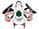 Carenado Moto Honda CBR900RR 954 2002-2003 - Blanco Rojo Verde Negro Brillante Castrol