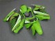 Carenados Moto Kawasaki EX250 2008-2012 - Verde Blanco Negro