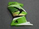 Carenados Moto Kawasaki EX250 2008-2012 - Verde Blanco Negro