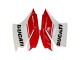 Carenado Moto Ducati 1299 2015-2020 - Blanco Rojo Verde Negro Mate