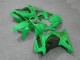 Carenado Moto Kawasaki EX250 2008-2012 - Verde Negro
