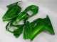 Carenado Moto Kawasaki EX250 2008-2012 - Verde Ninja