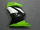 Carenado Moto Kawasaki EX250 2008-2012 - Verde Blanco Negro
