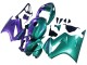 Carenado Moto Honda VFR 800 2002-2013 - Púrpura Verde