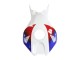 Carenados Moto Honda CBR1000RR 2006-2007 - Blanco Rojo Azul HRC