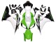 Carenados Moto Honda CBR1000RR 2006-2007 - Blanco Verde Negro Brillante