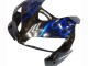 Carenados Moto Honda CBR600RR 2005-2006 - Negro Brillante Azul Llama