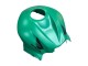 Carenados Moto Honda CBR600RR 2007-2008 - Verde Negro Brillante
