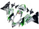 Carenado Moto Kawasaki ZX10R 2004-2005 - Verde Plata Negro 69