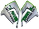 Carenado Moto Kawasaki ZX10R 2004-2005 - Verde Plata Negro 69