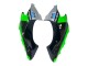 Carenado Moto Kawasaki ZX10R 2004-2005 - Verde Plata Negro 69