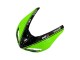Carenado Moto Kawasaki ZX10R 2006-2007 - Verde Negro Elf Touch4 3M