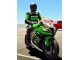 Carenado Moto Kawasaki ZX10R 2011-2015 - Verde Amarillo Blanco Negro Rojo Pirelli