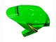 Carenado Moto Kawasaki ZX10R 2016-2020 - Verde Amarillo Rojo Negro Elf Monstruo