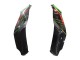 Carenado Moto Kawasaki ZX10R 2021-2025 - Verde Negro Rojo