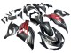 Carenado Moto Kawasaki ZX14R ZZR1400 2012-2024 - Negro Mate Rojo Blanco Ninja