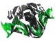 Kits Carenados Moto Kawasaki ZX14R ZZR1400 2012-2024 - Verde Negro Brillante