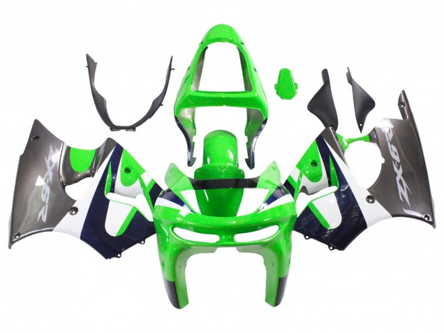 Carenado Moto Kawasaki ZX6R 1998-1999 - Verde Blanco Azul Oscuro Plata