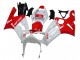 Carenado Moto Kawasaki ZX6R 2003-2004 - Blanco Rojo