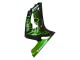 Carenado Moto Kawasaki ZX6R 2003-2004 - Negro Brillante Verde Llama