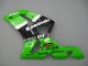 Carenado Moto Kawasaki ZX6R 2003-2004 - Verde Blanco Negro Elf Bridgestone