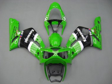 Carenado Moto Kawasaki ZX6R 2003-2004 - Verde Blanco Negro Elf Bridgestone
