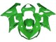 Carenado Moto Kawasaki ZX6R 2005-2006 - Verde
