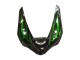 Carenados Moto Kawasaki ZX6R 2005-2006 - Negro Brillante Verde Llama