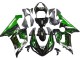Carenados Moto Kawasaki ZX6R 2005-2006 - Negro Brillante Verde Llama